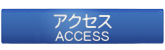 accessbt.png